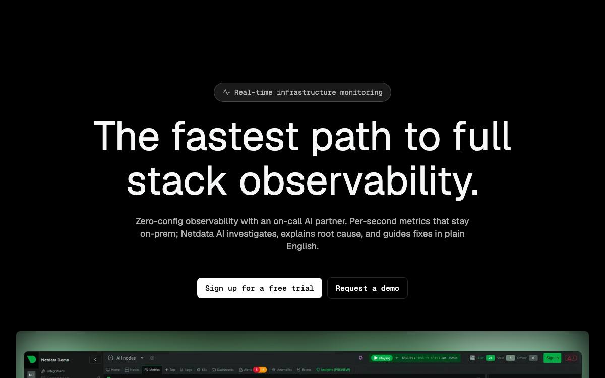 Screenshot of NetData website